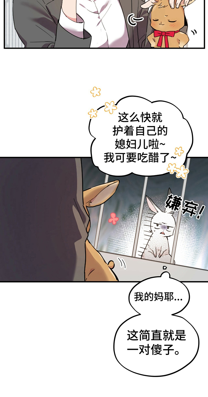 第6章：鄙视17