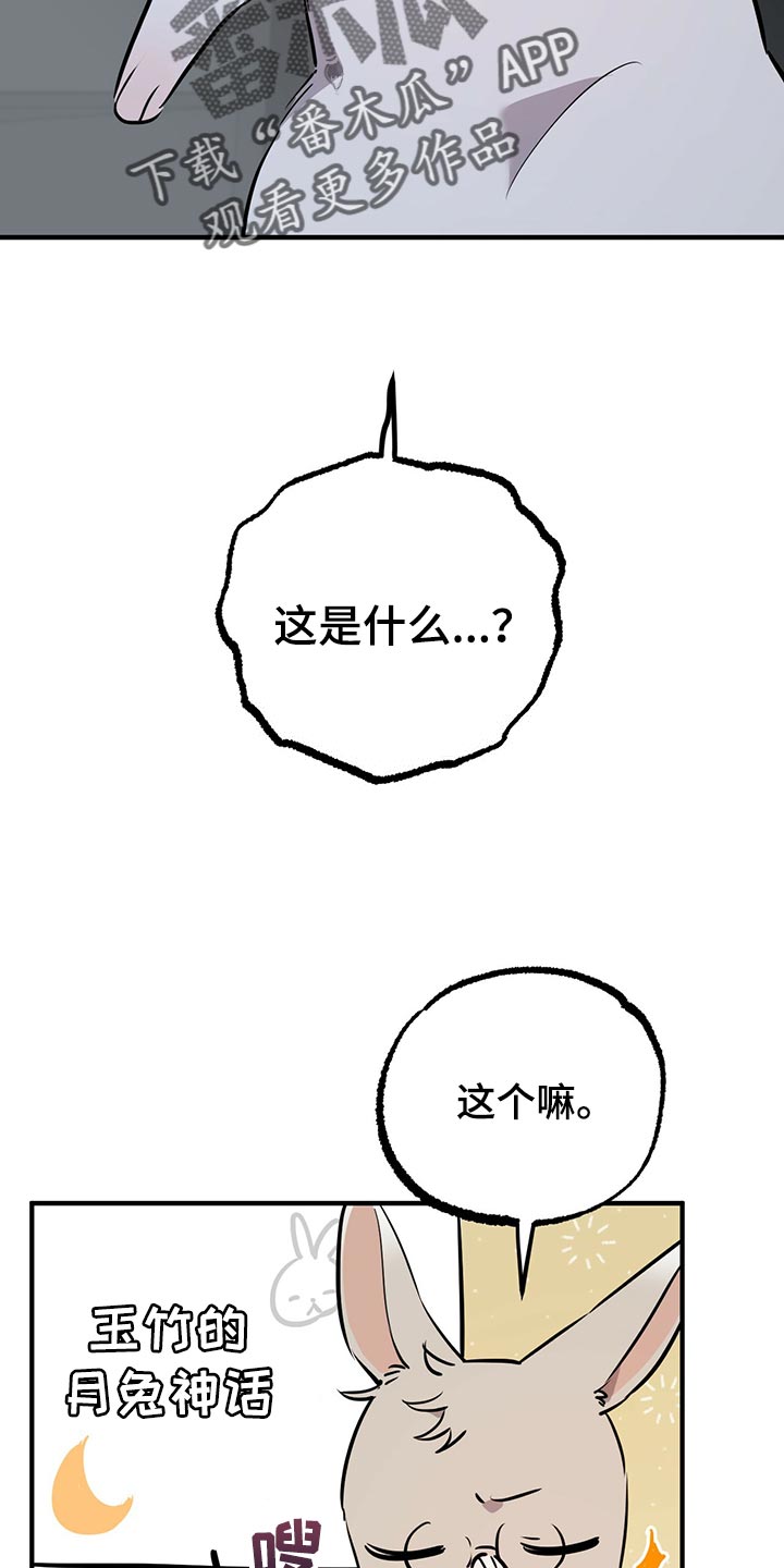 第117章：我有个好主意18