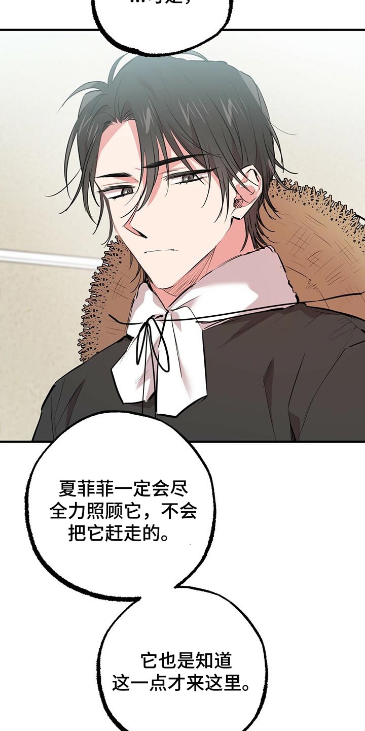 第87章：开始怀疑6