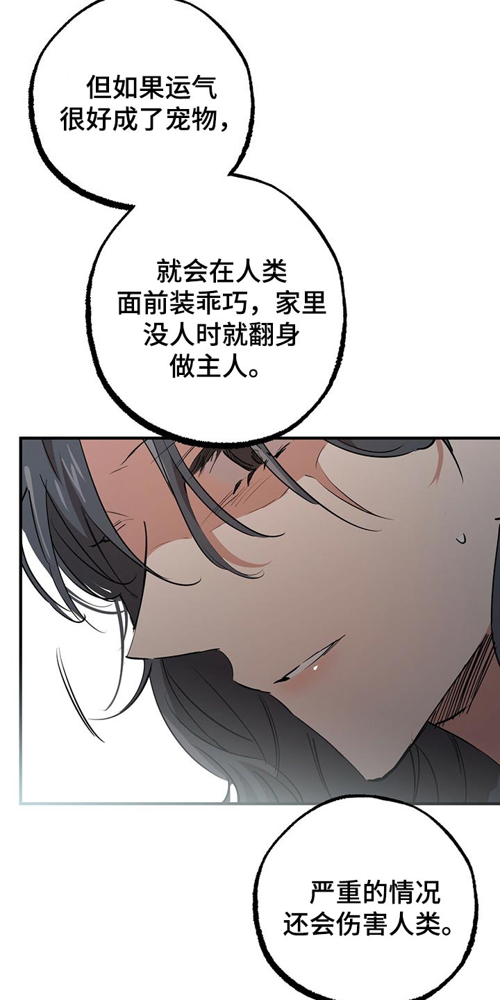 第94章：它们会去哪？6