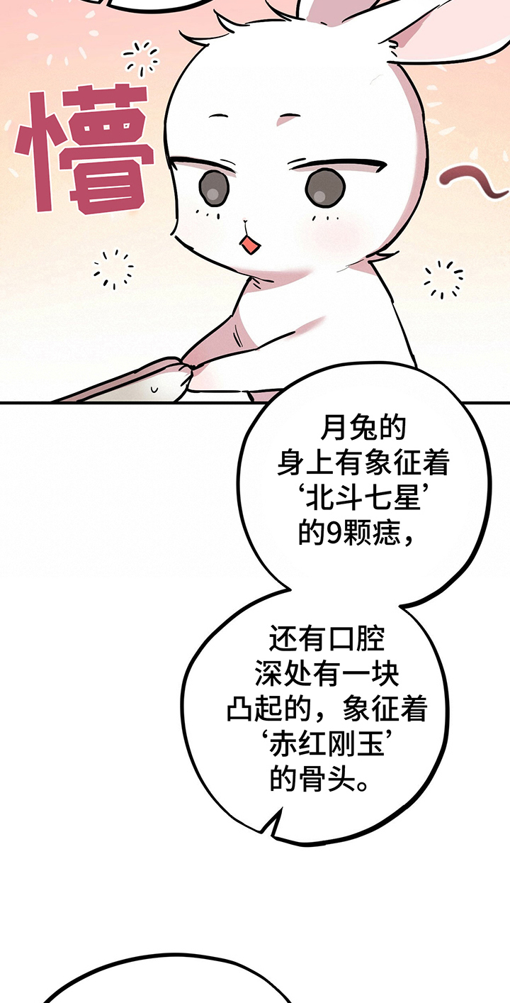 第10章：特征6