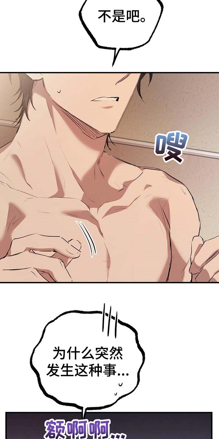 第77章：特别的兔子2