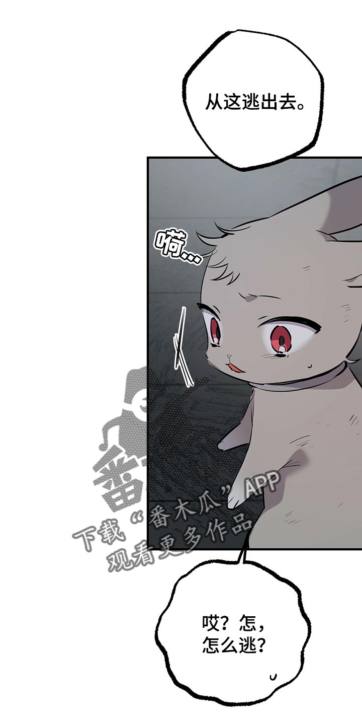 第117章：我有个好主意0