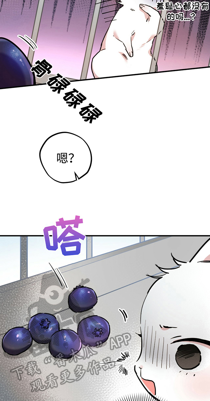 第6章：鄙视15