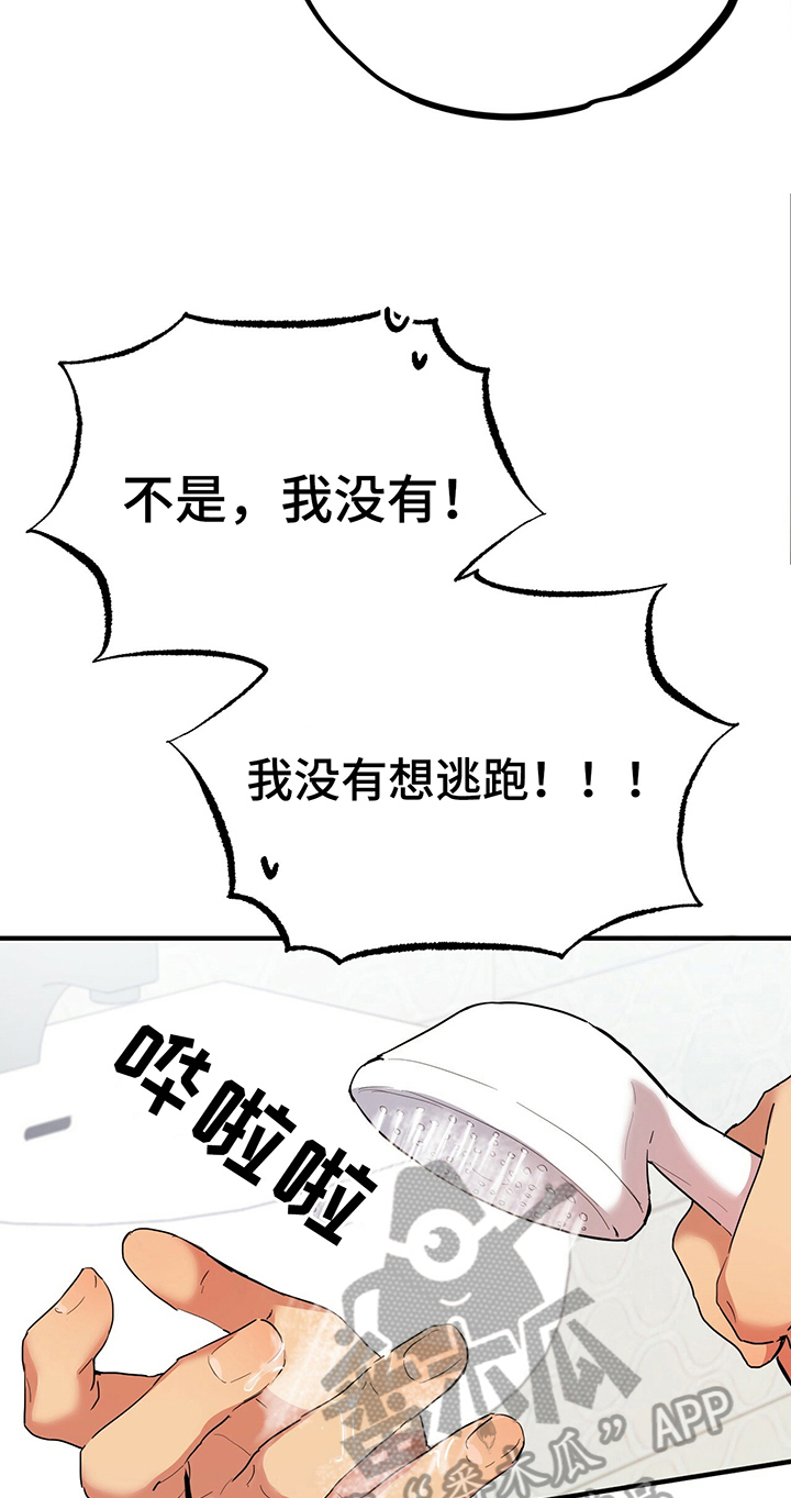 第10章：特征21