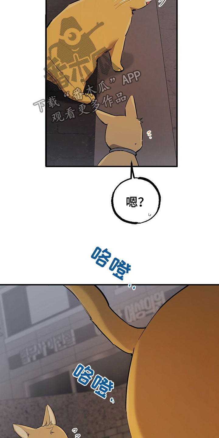 第119章：出发26