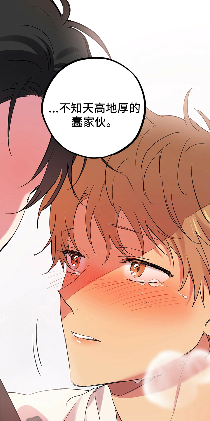 第26章：愉悦15