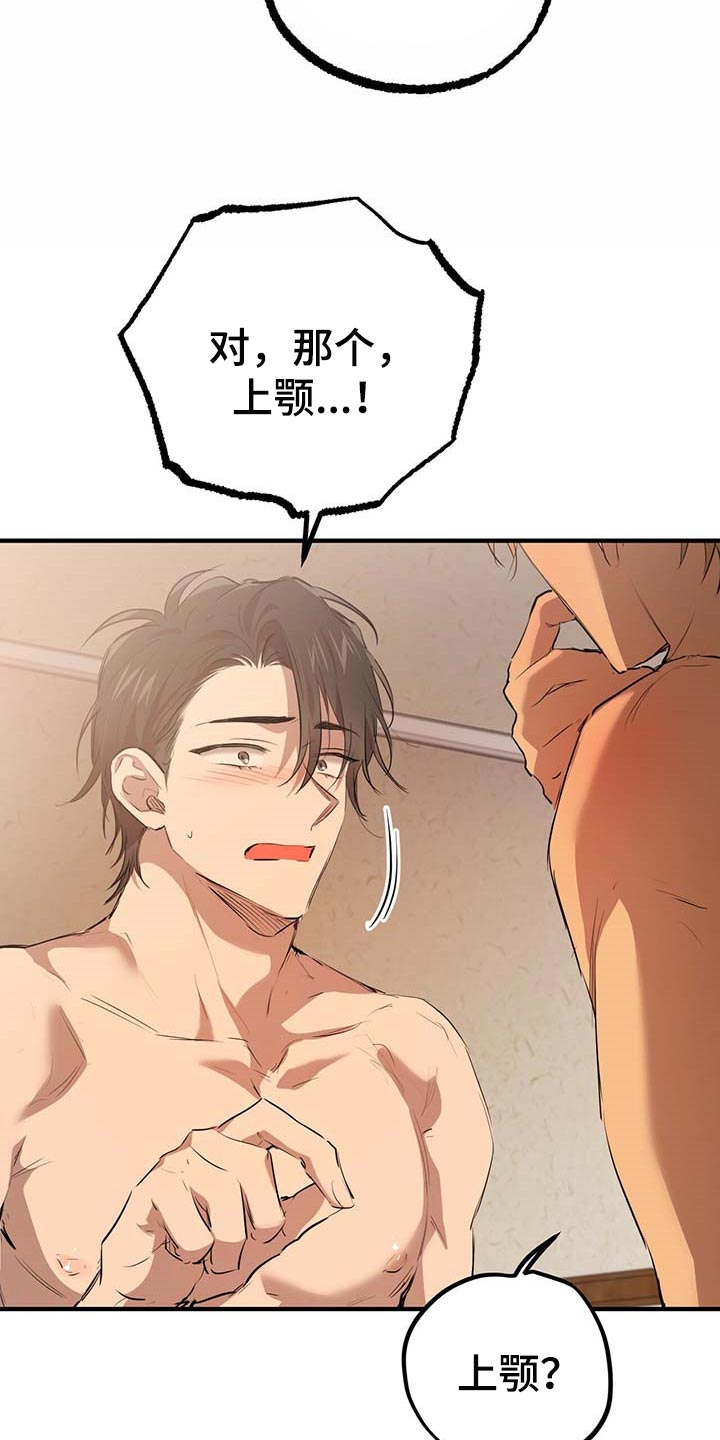 第77章：特别的兔子8