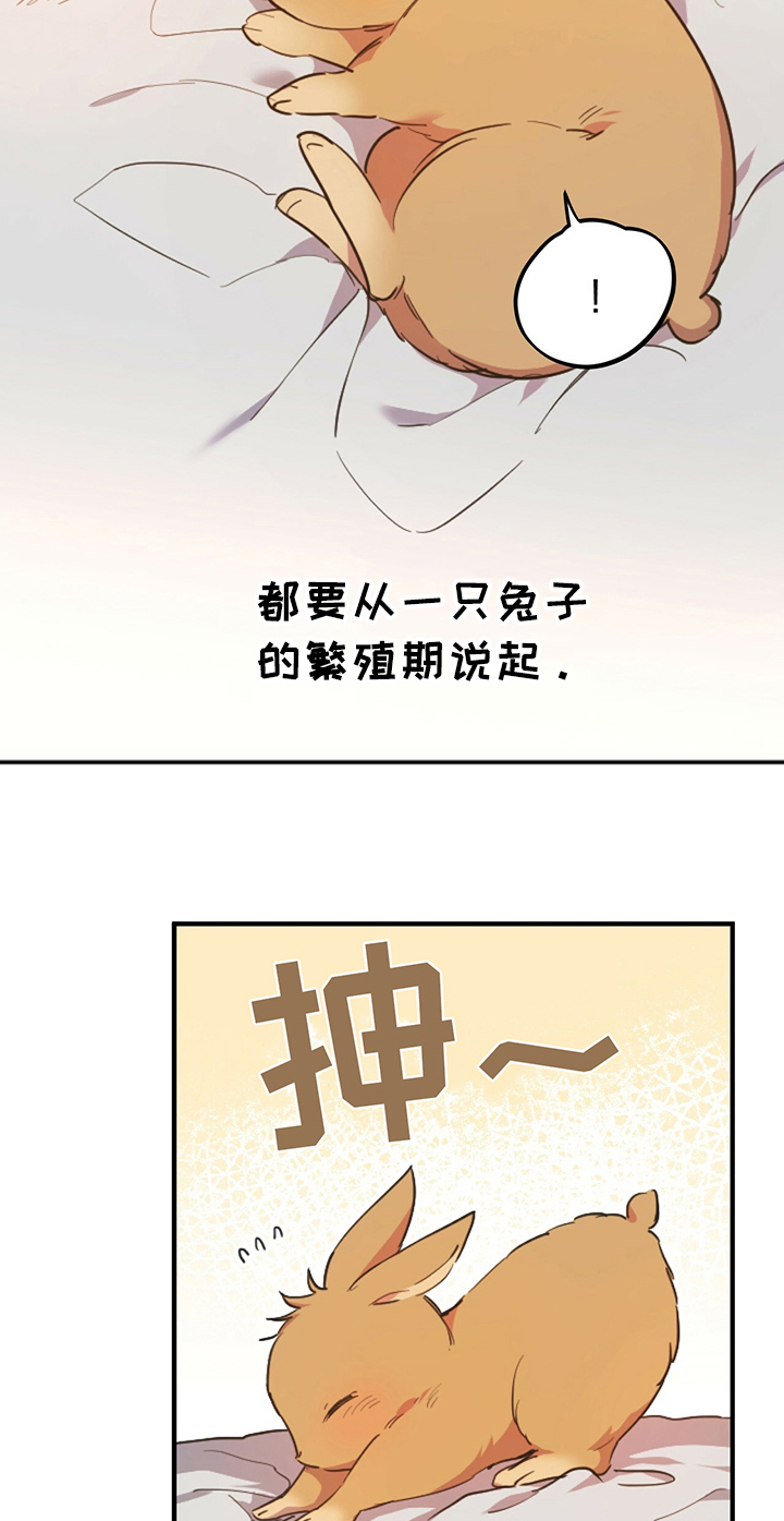 第1章：兔子12