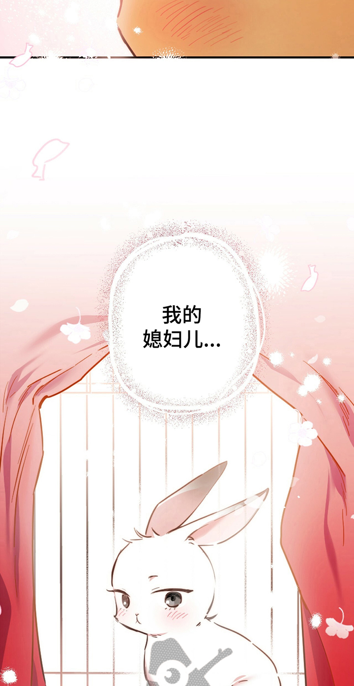 第5章：媳妇儿2