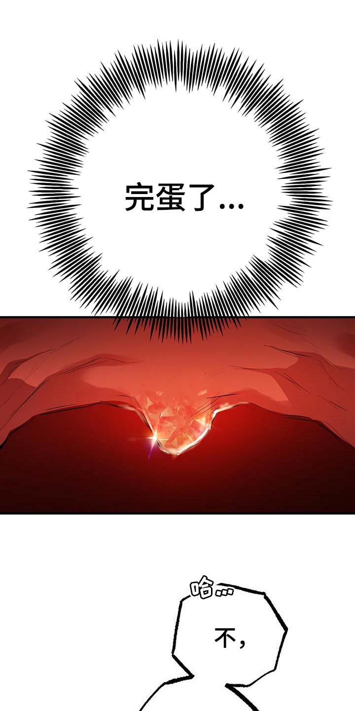 第77章：特别的兔子1