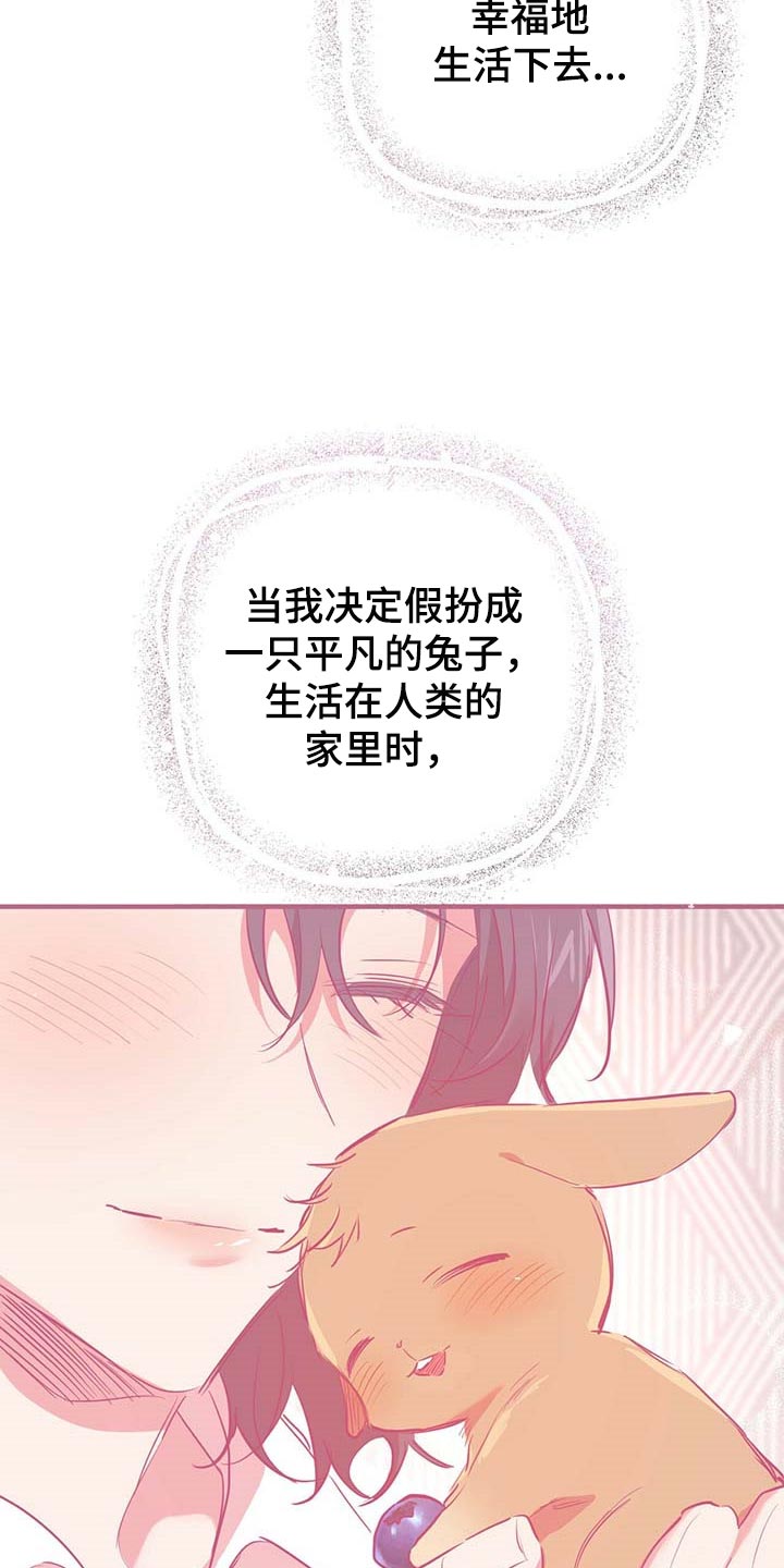 第52章：不管做什么都很好吃1