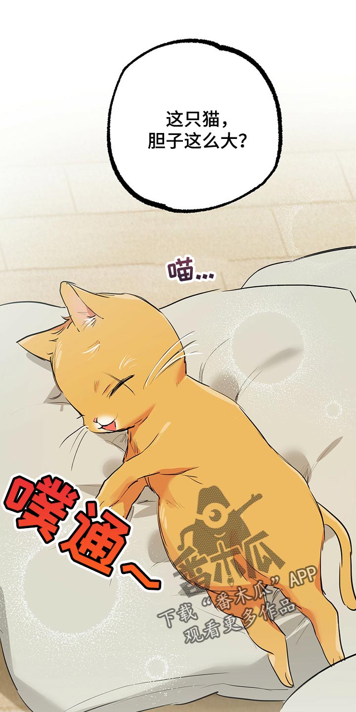 第86章：帮它生宝宝13