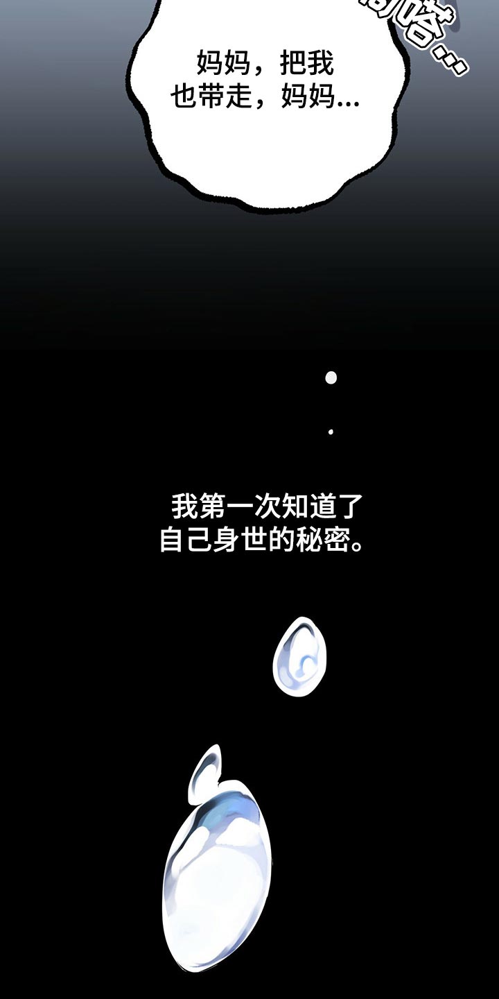 第99章：身世的秘密26