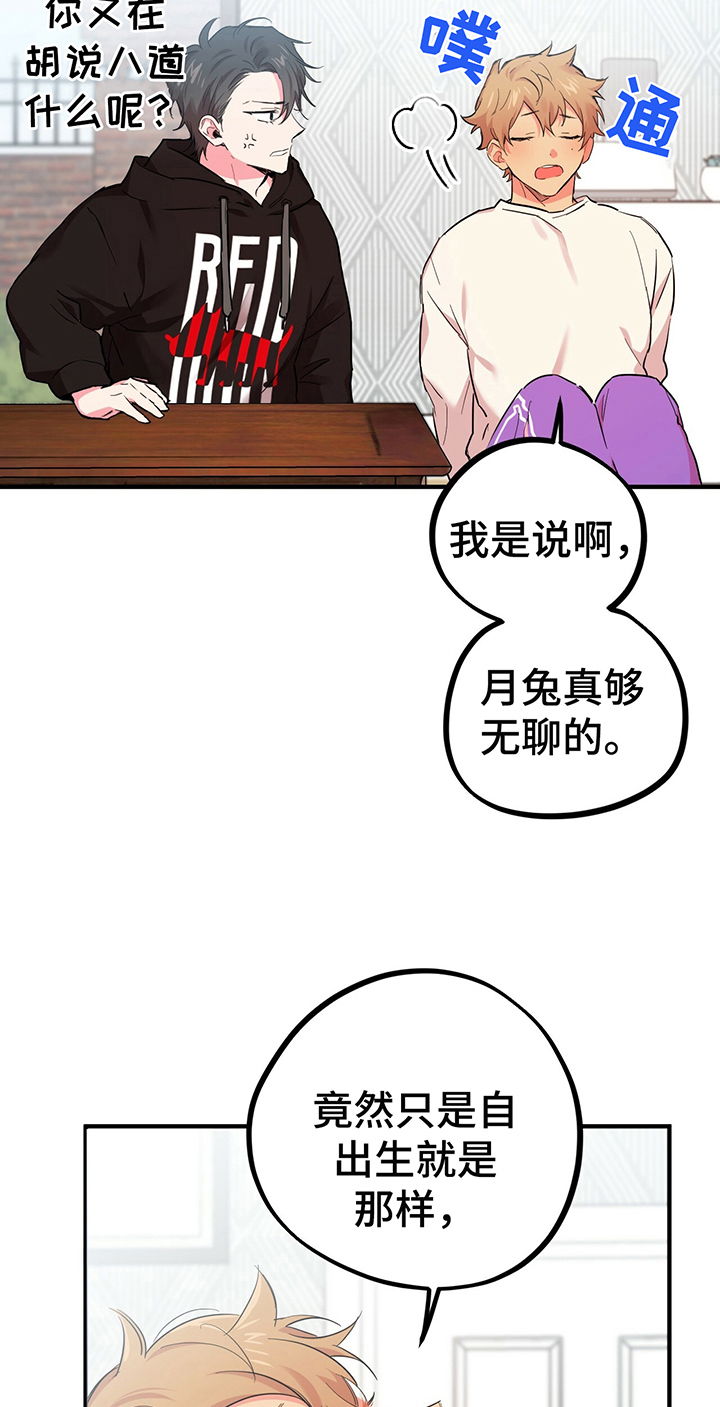 第15章：了解1