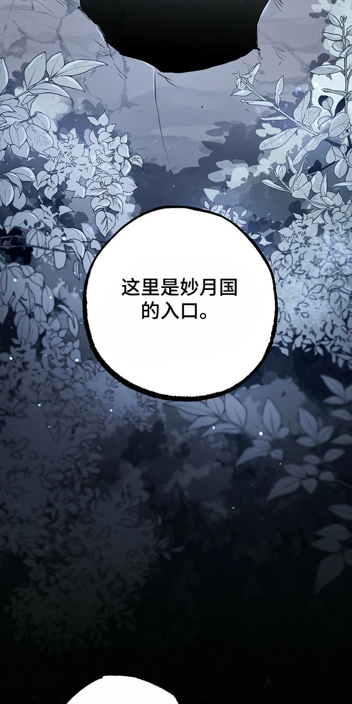 第99章：身世的秘密14