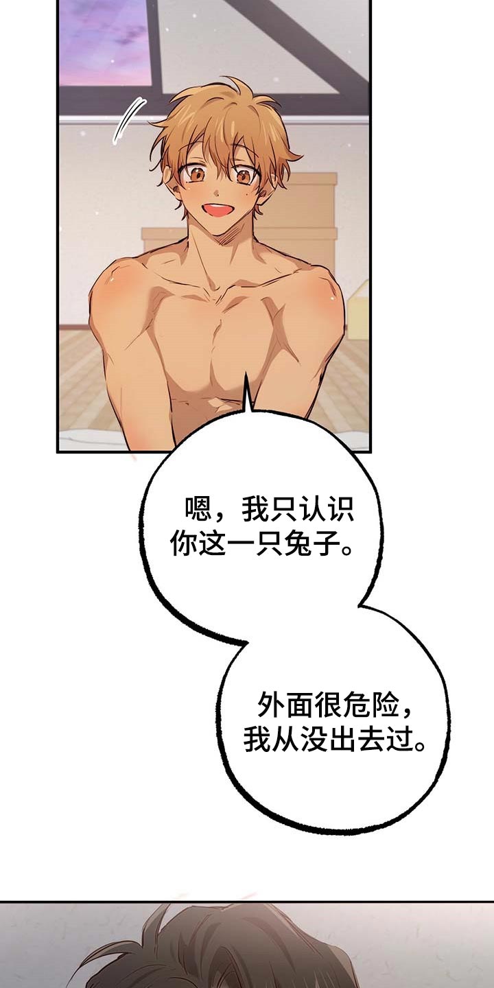 第78章：太可惜了11