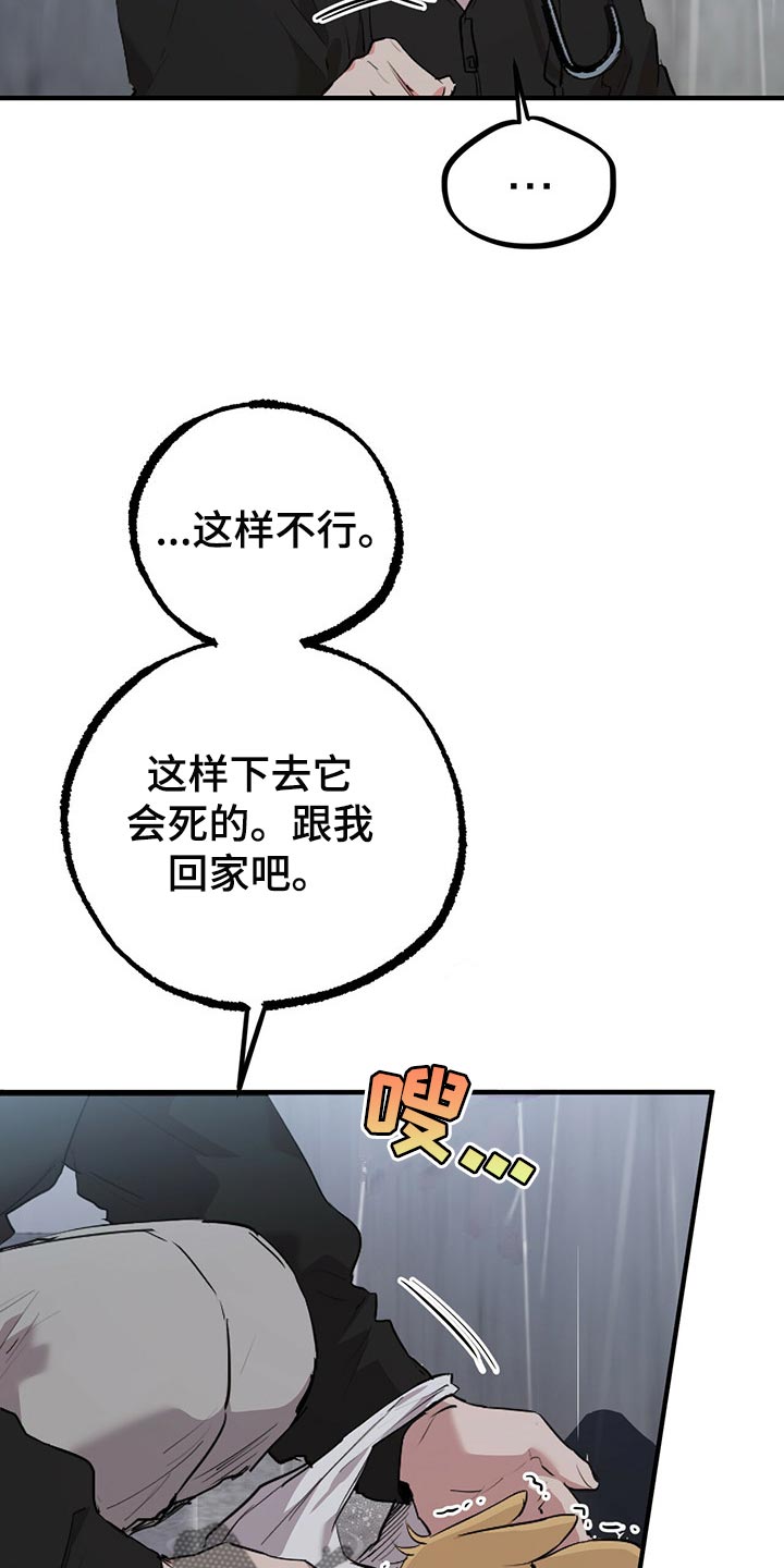第95章：我就是你的家人5