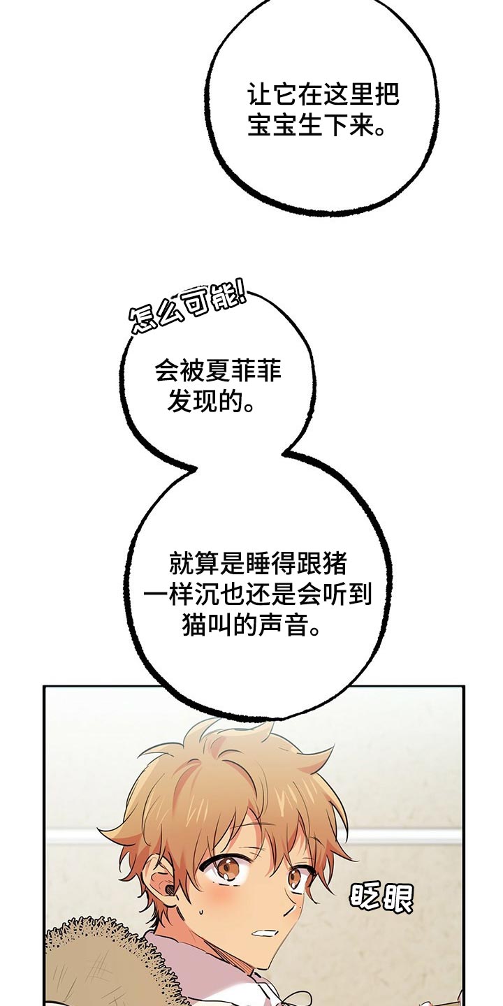 第87章：开始怀疑2