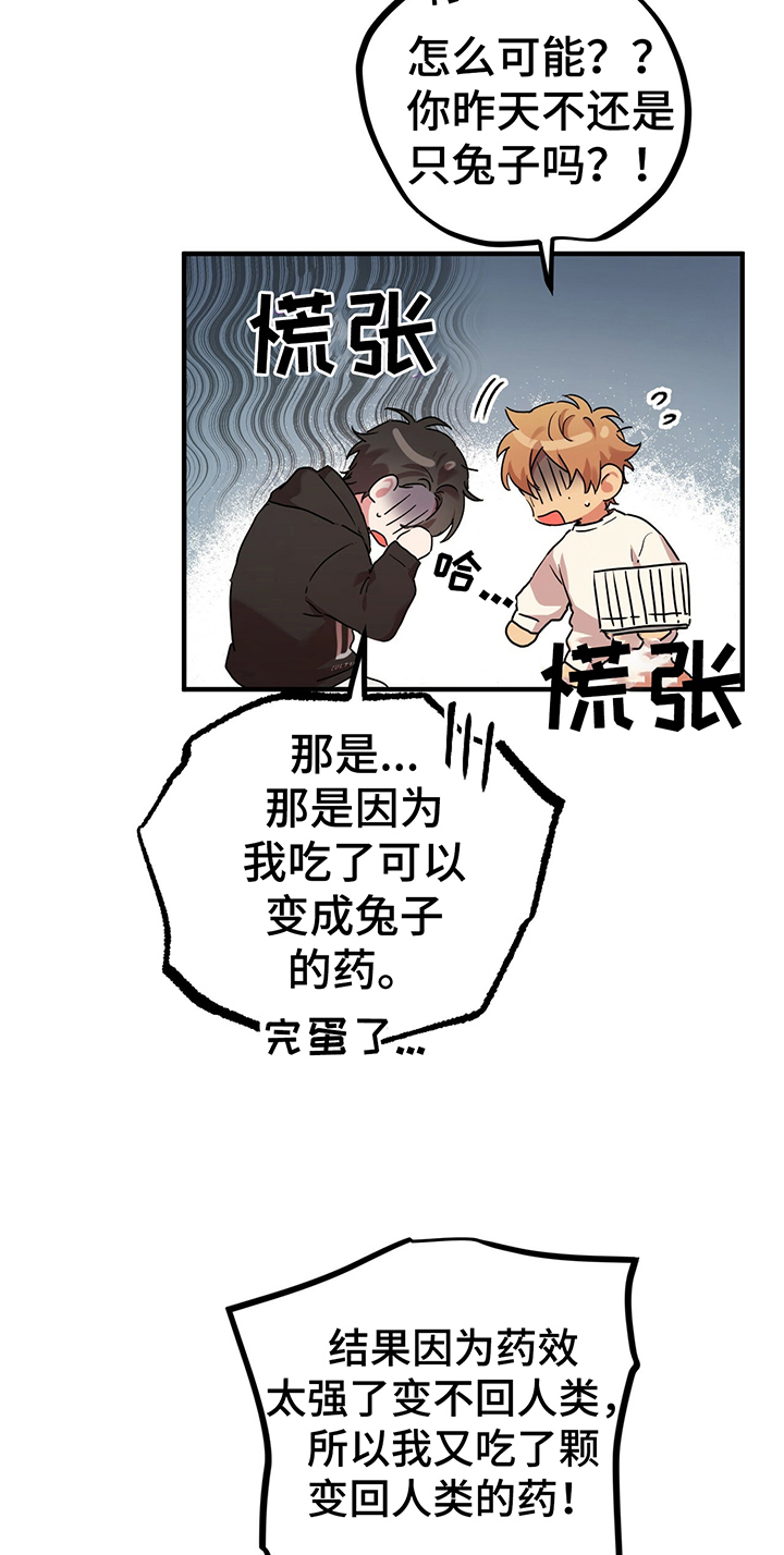 第19章：变身条件16