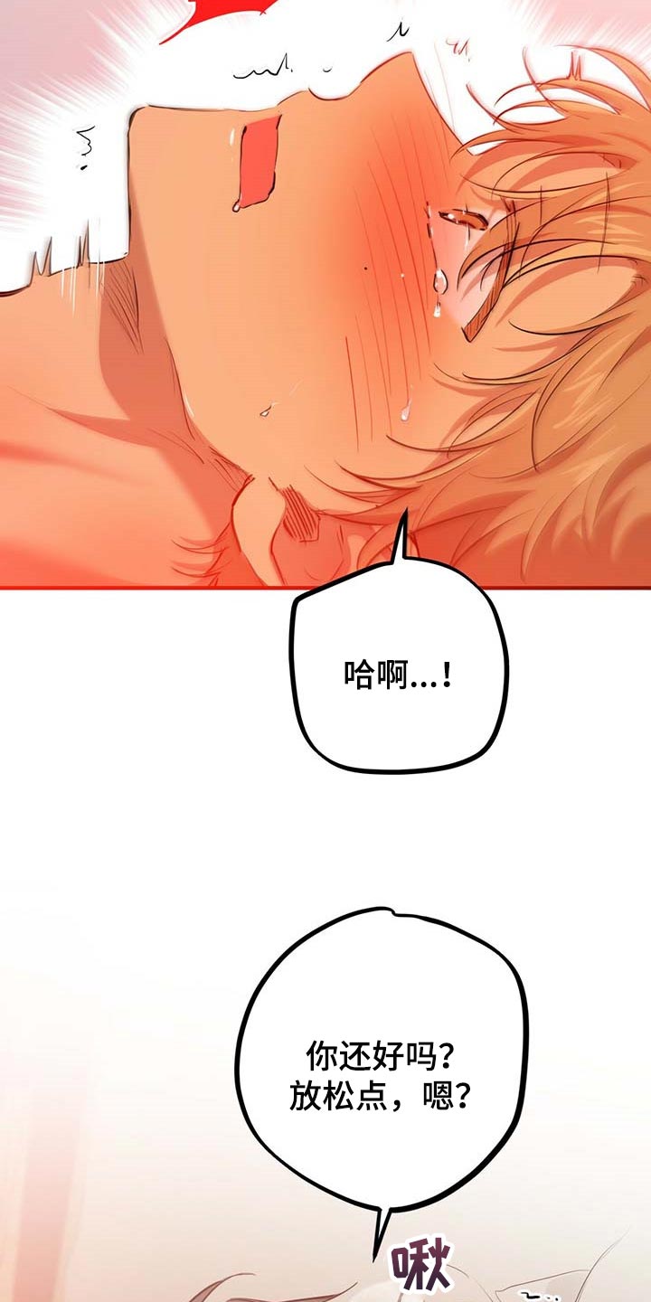 第73章：真正的媳妇11