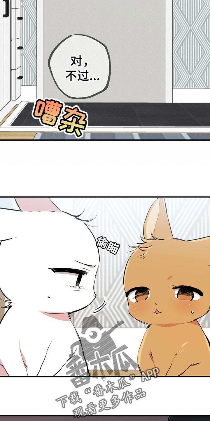 第97章：卖个好价钱15