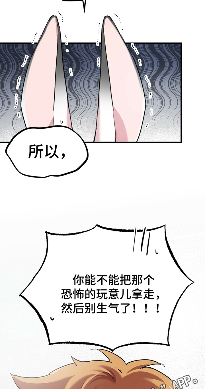 第10章：特征24
