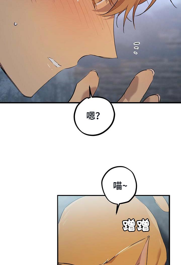 第65章：我好想你17