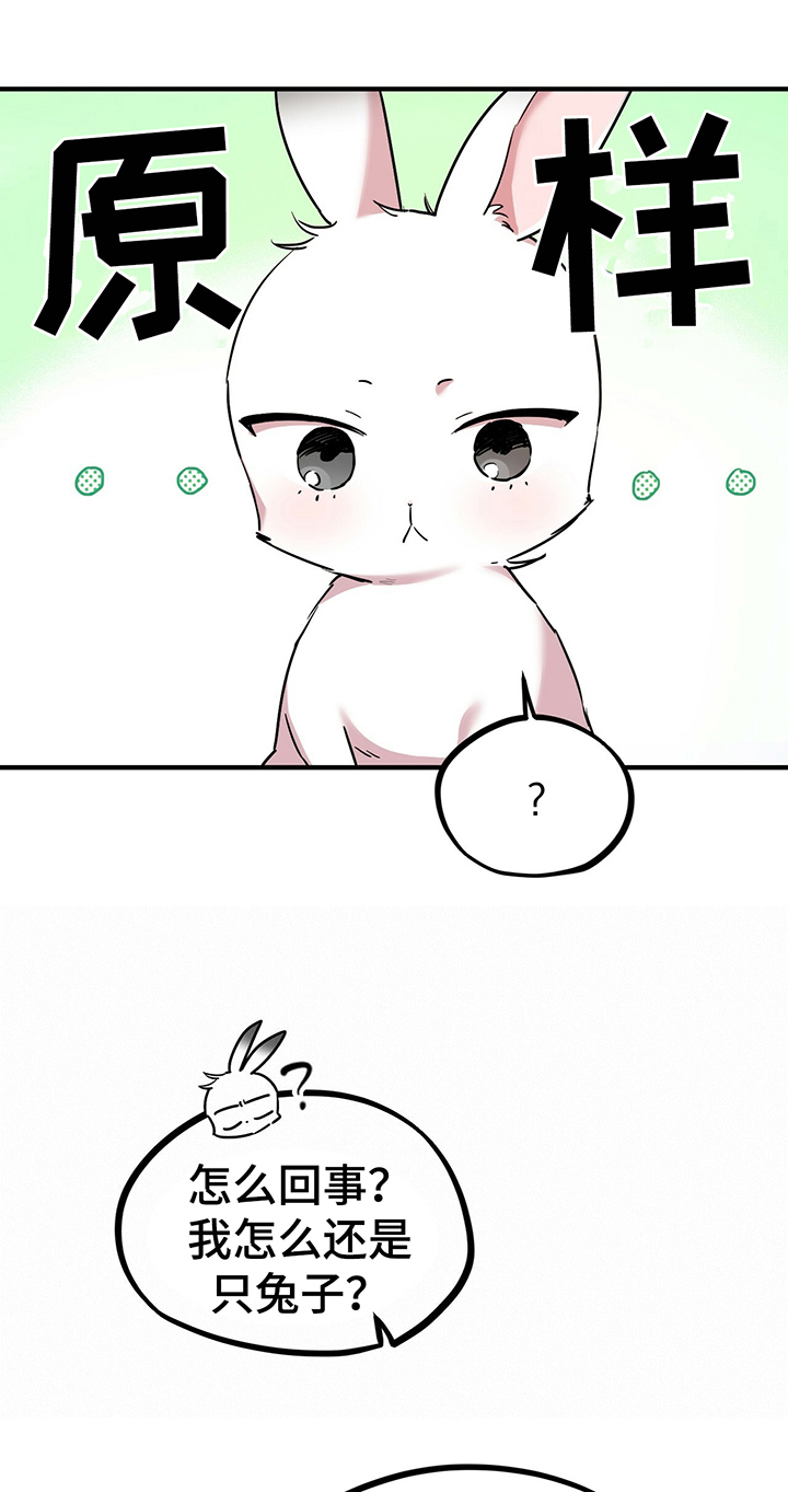 第10章：特征13