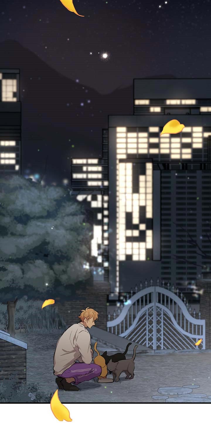 第65章：我好想你14
