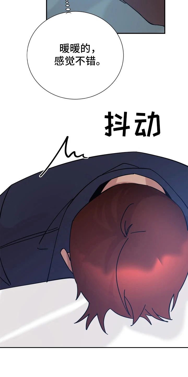 第13章：喜欢的理由2