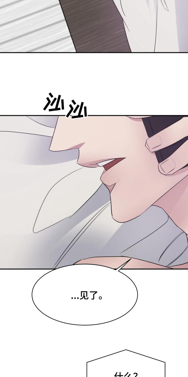 第33章：乱摊子13