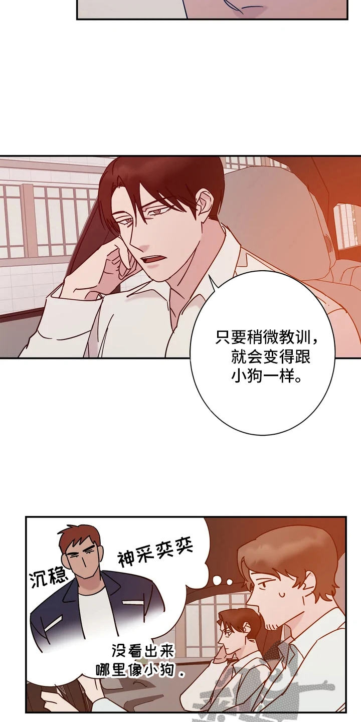 第15章：答应了11