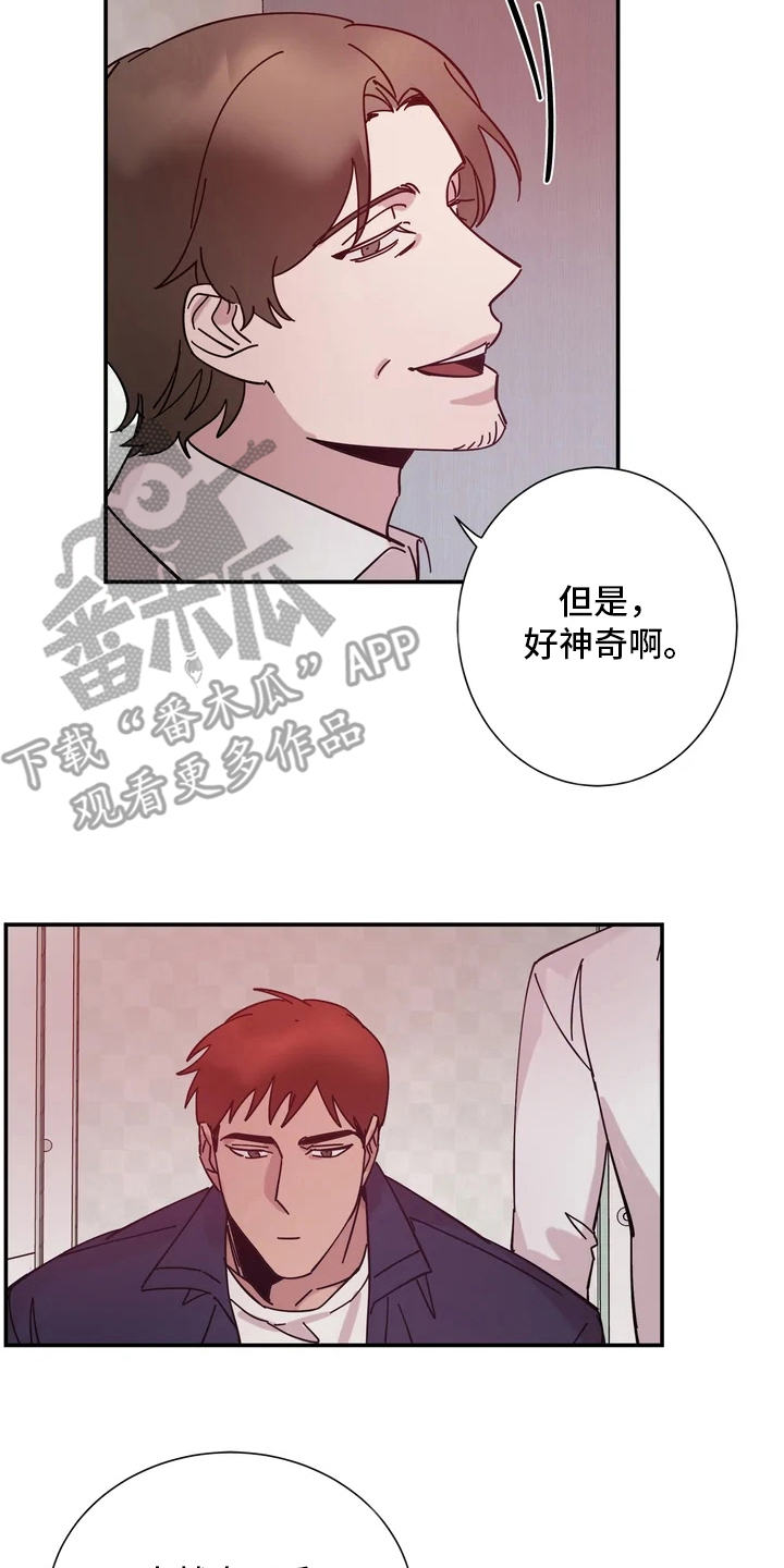 第14章：手1