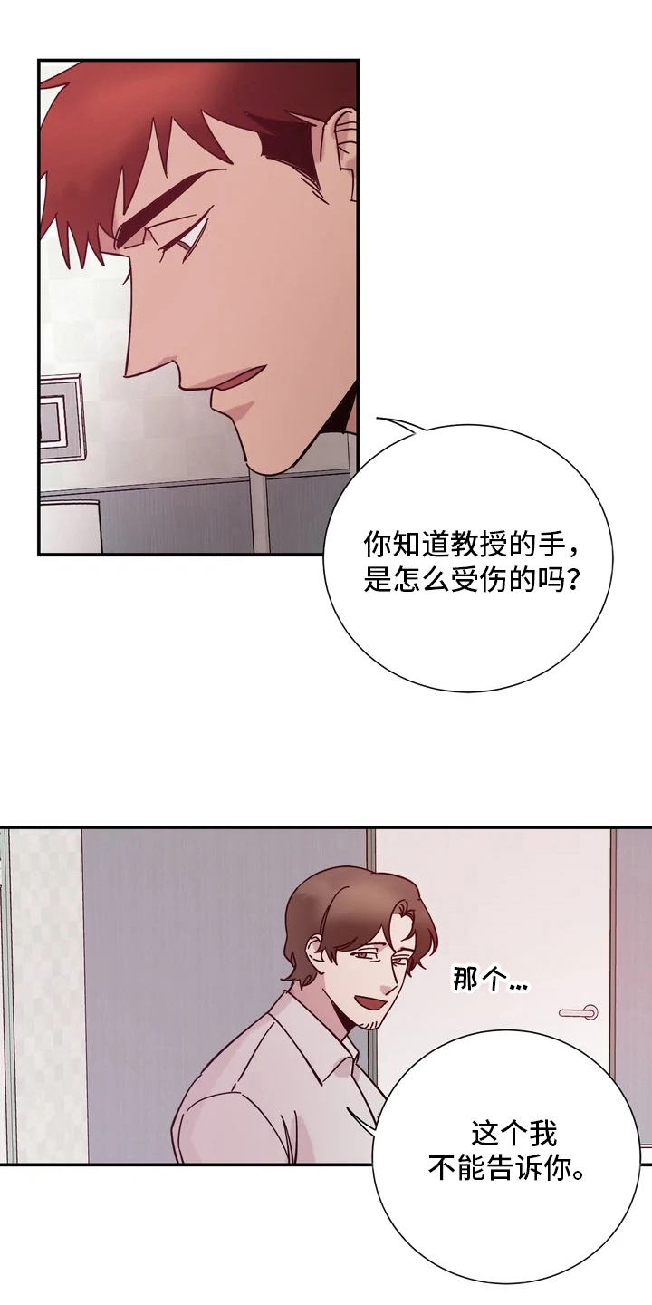 第14章：手3