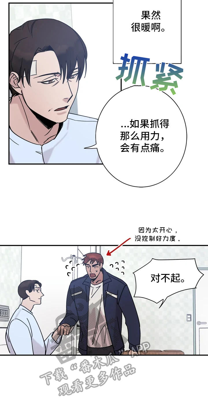 第14章：手13