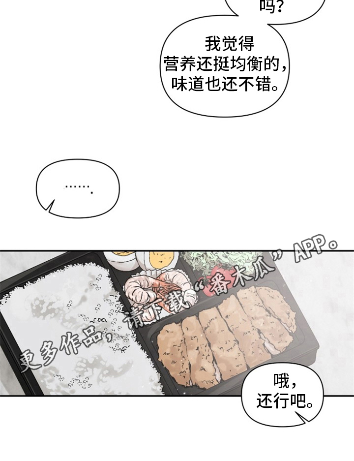 第13章：便当9