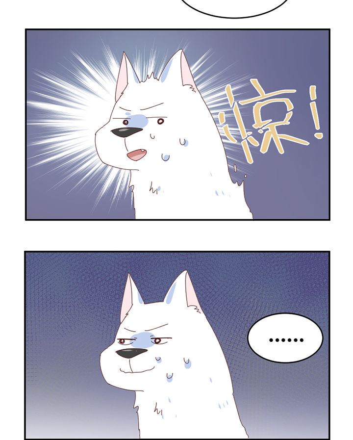 第59章：我讨厌狗6