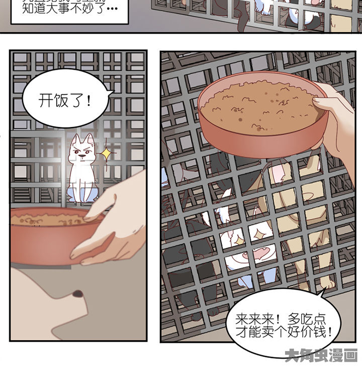 第59章：我讨厌狗14