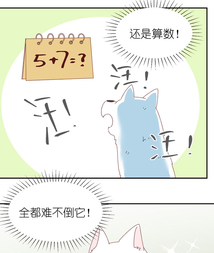 第65章：放弃3
