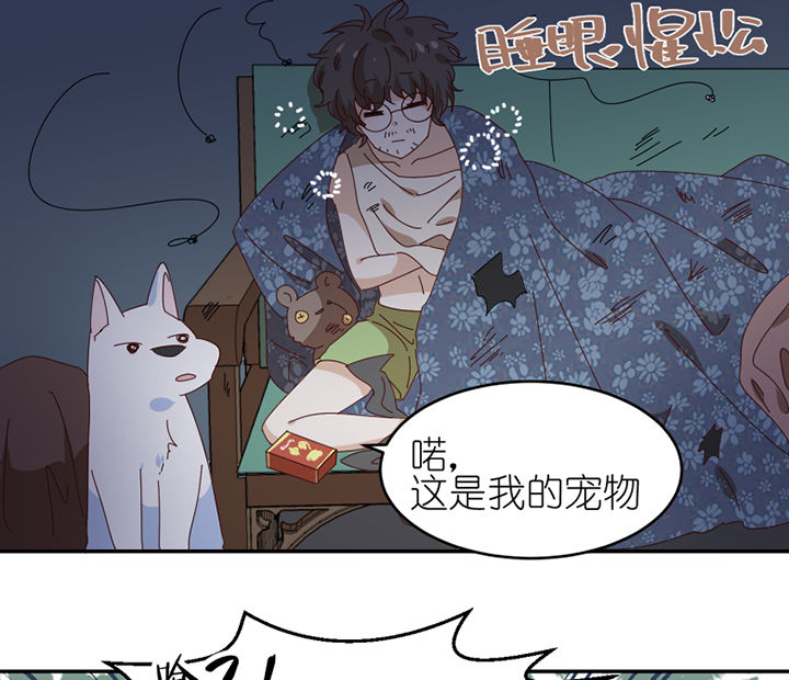 第57章：才不是流浪狗27