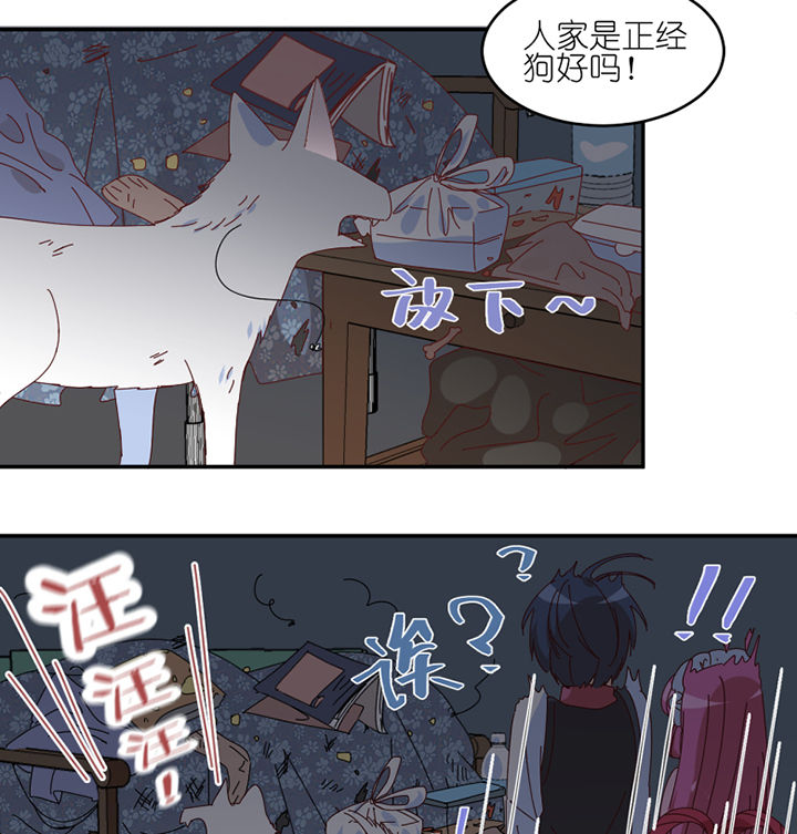 第57章：才不是流浪狗24