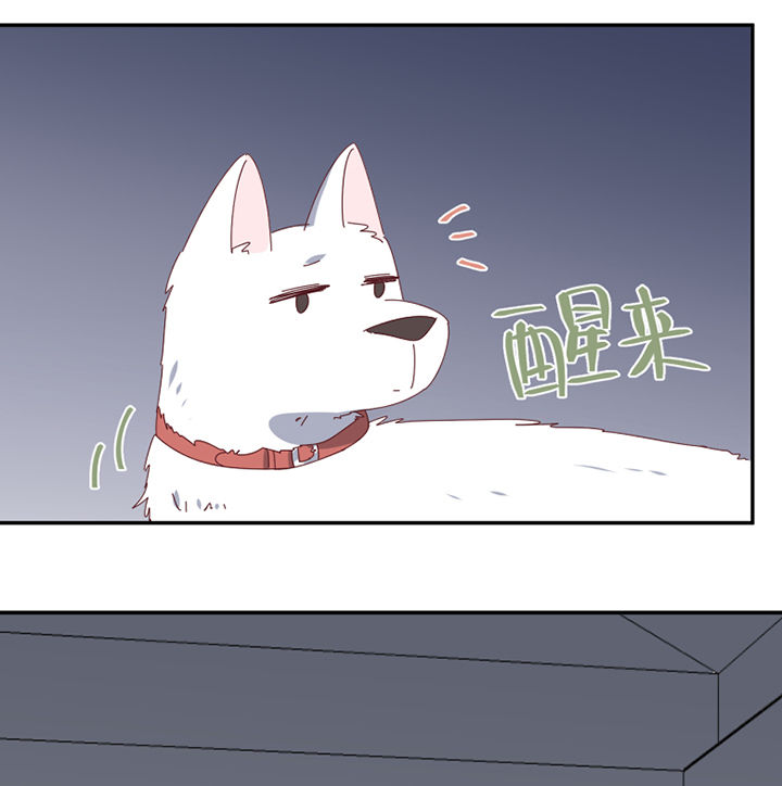 第67章：离开13