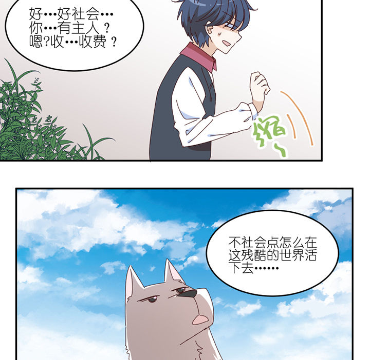 第57章：才不是流浪狗4