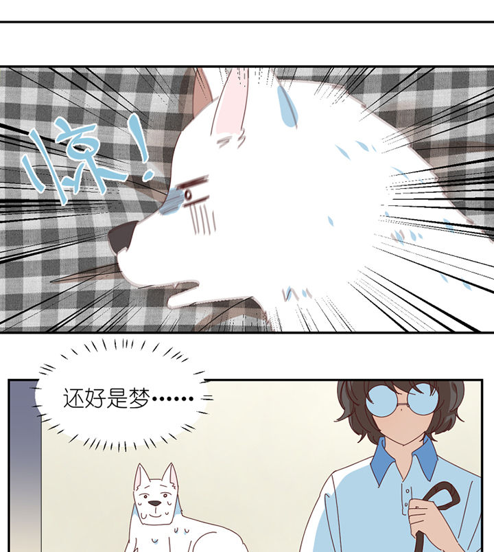 第62章：你不要我了吗7