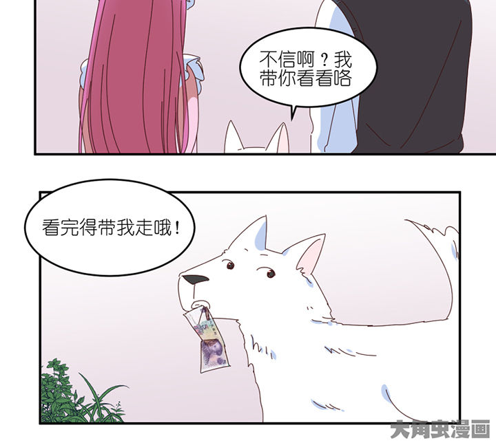 第57章：才不是流浪狗8