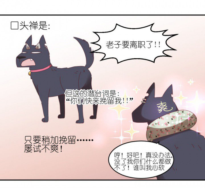 第48章：小日常12
