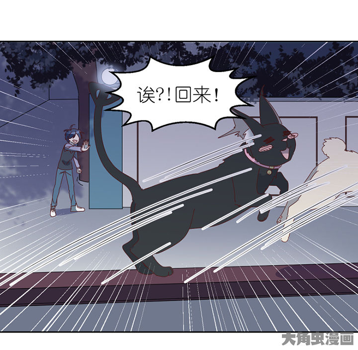 第77章：孟婆会议5