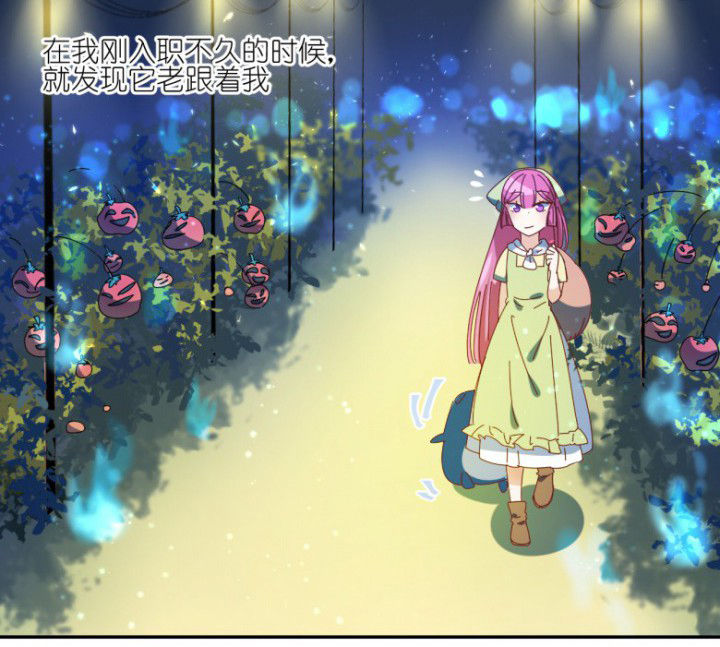 第48章：小日常16