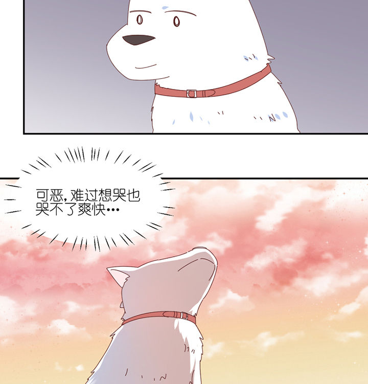 第66章：祸不单行8